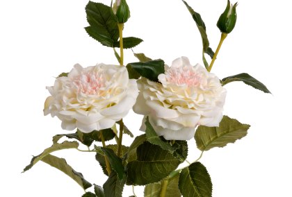 White Garden Rose Spray