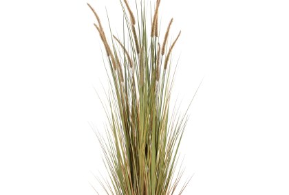 Field Grass Pot 60 Inch