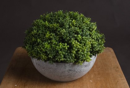 Small Hebe Globe Pot