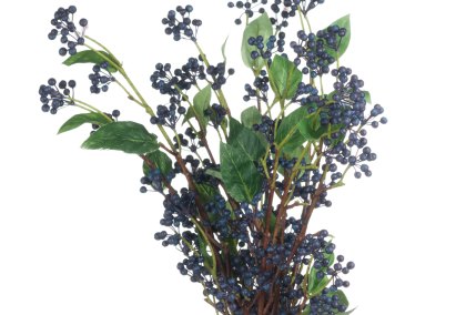 Viburnum Berry