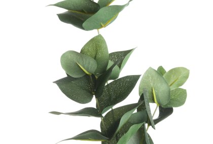 Eucalyptus Filler