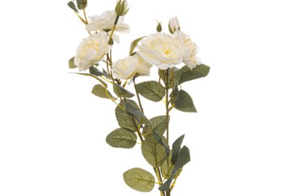 Soft White Cottage Rose Stem