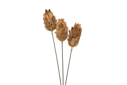 Bouquet Of Dried Protea