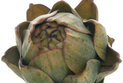 Real Touch Artificial Artichoke