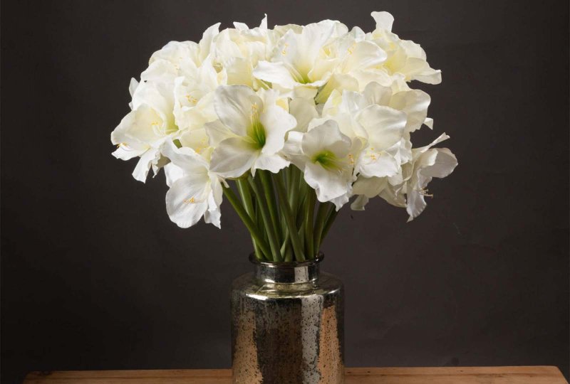 Hill Interiors Classic White Amaryllis Flower