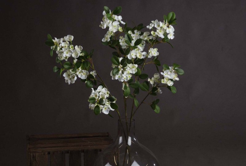 Hill Interiors White Spring Mock Orange Flower