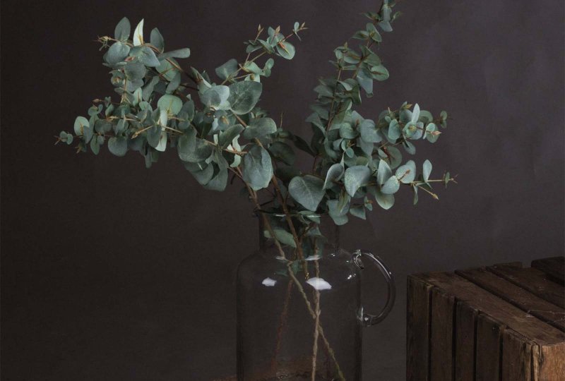 Hill Interiors Variegated Eucalyptus