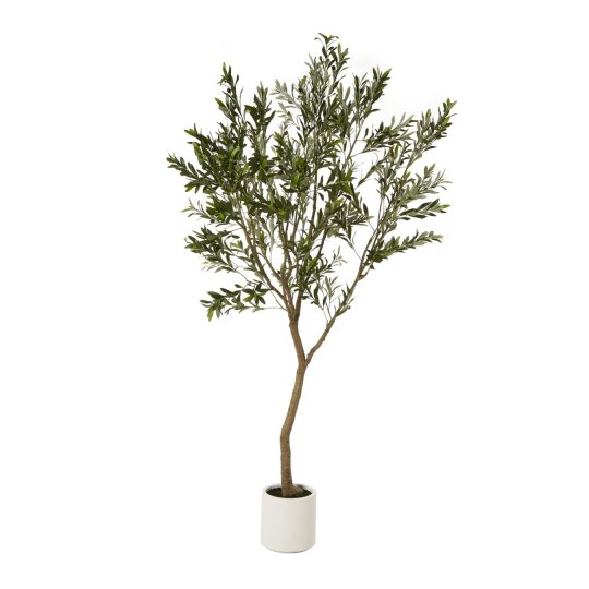 Hill Interiors Apulia Olive Tree in White Pot 240cm