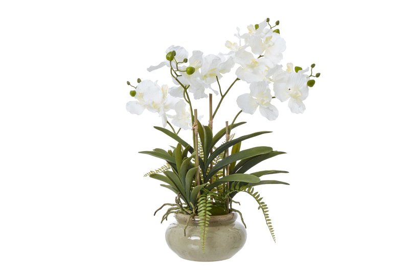 Hill Interiors White Vanda Orchid Plant in Ceramic Pot