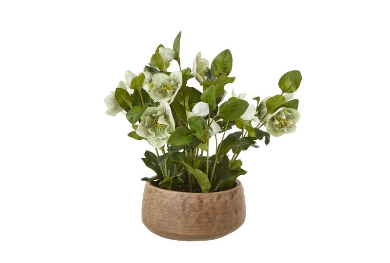 Hill Interiors Green Hellebore Plant in Taupe Pot