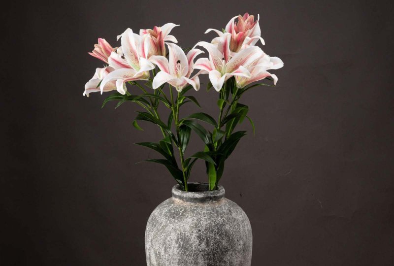 Hill Interiors Stargazer Lily