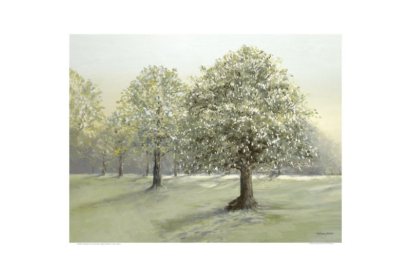 Art Marketing Stroll Between Trees Framed Canvas