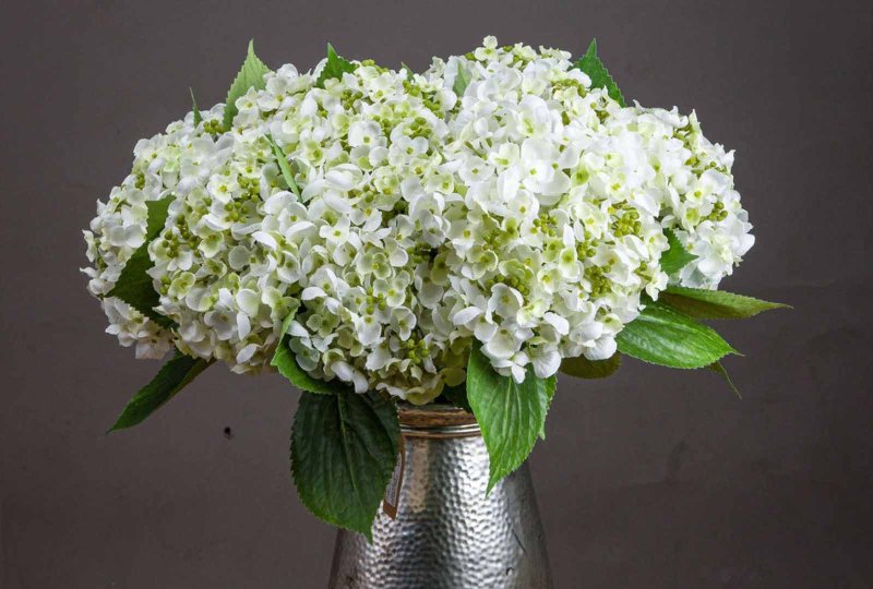 Hill Interiors White Lace Cap Hydrangea