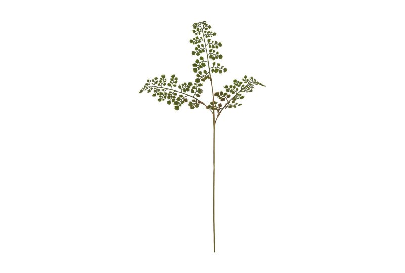 Hill Interiors The Natural Garden Collection Maidenhair Fern Stem