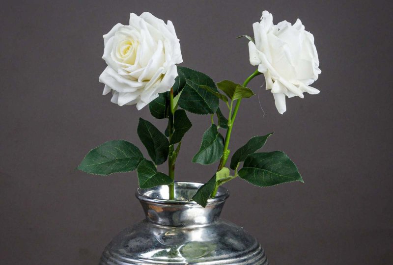 Hill Interiors Large White Garden Rose