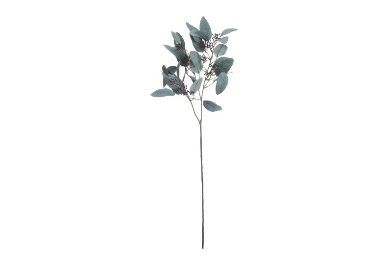 Hill Interiors Seeded Eucalyptus Stem