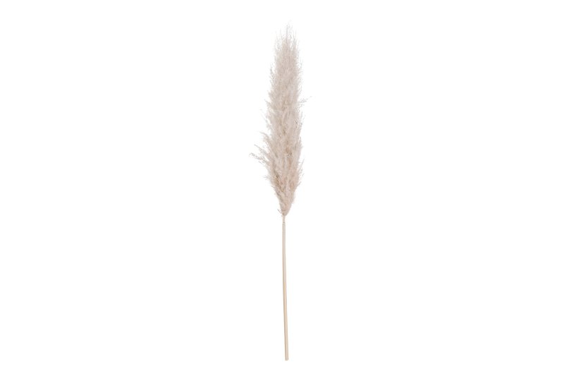 Hill Interiors Cream Pampas grass