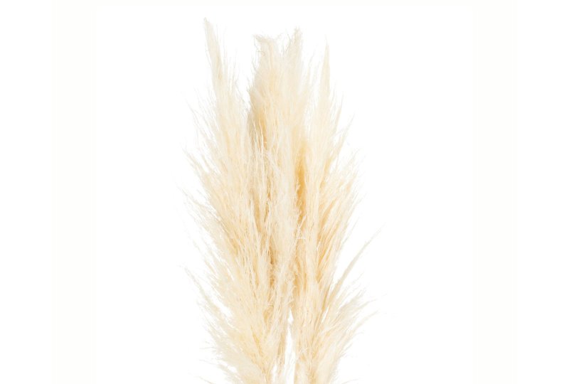 Hill Interiors Cream Pampas Grass Stem