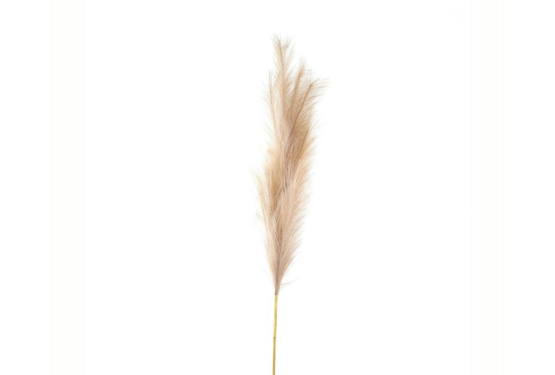 Hill Interiors Bleached Large Faux Pampas Grass Stem