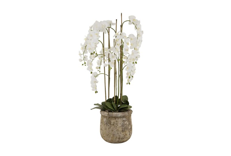 Hill Interiors Large White Orchid In Antique Stone Pot