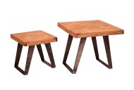 Argan Nest Of Two Tables
