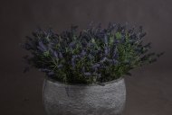 Hill Interiors Large Lavender Bush