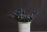 Hill Interiors Small Lavender Spray