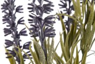 Hill Interiors Small Lavender Spray