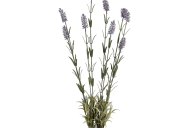 Hill Interiors Large Lavender Spray