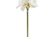 Hill Interiors Classic White Amaryllis Flower