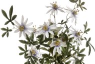 Hill Interiors Passion Flower Spray