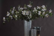 Hill Interiors Passion Flower Spray