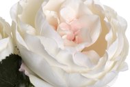 Hill Interiors Blush Garden Rose