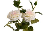 Hill Interiors White Garden Rose Spray