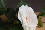 Hill Interiors White Garden Rose Spray