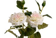 Hill Interiors White Garden Rose Spray