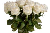 Hill Interiors Traditional White Rose