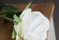 Hill Interiors Traditional White Rose