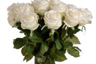 Hill Interiors Traditional White Rose