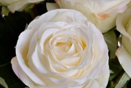 Hill Interiors Traditional White Rose