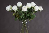 Hill Interiors Traditional White Rose