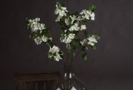 Hill Interiors White Spring Mock Orange Flower