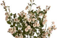 Hill Interiors Cream Wild Meadow Rose