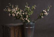 Hill Interiors Cream Wild Meadow Rose