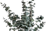 Hill Interiors Variegated Eucalyptus