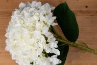 Hill Interiors Oversized White Hydrangea