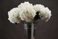 Hill Interiors Oversized White Hydrangea