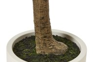 Hill Interiors Apulia Olive Tree in White Pot 240cm