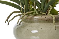 Hill Interiors White Vanda Orchid Plant in Ceramic Pot