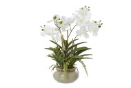 Hill Interiors White Vanda Orchid Plant in Ceramic Pot